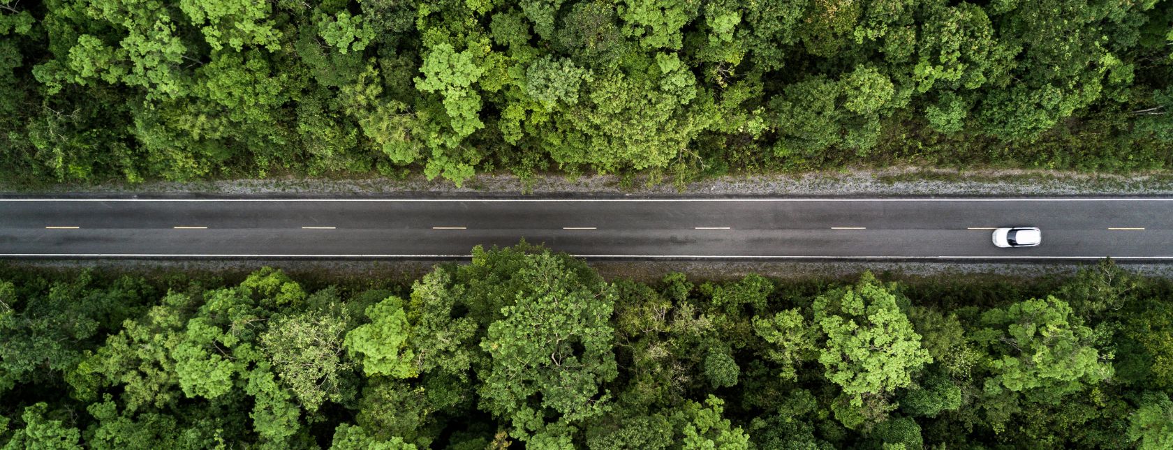 ISO 14001:2026 環境管理系統改版 氣候變遷正式入標準
